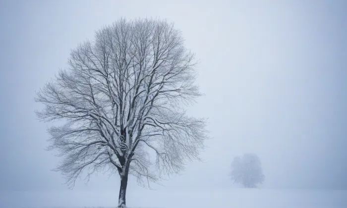 kostel Nanebevzetí Panny Marie (Bezdružice) – winter
