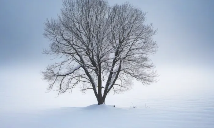 Kostel Nanebevzetí Panny Marie (Bošín) – winter