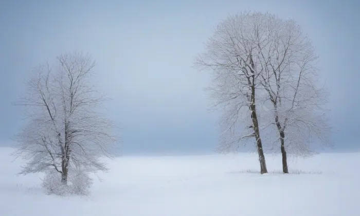 Kostel Nanebevzetí Panny Marie (Bruntál) – winter