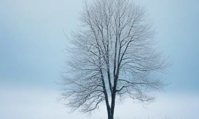 kostel Nanebevzetí Panny Marie (Bublava) – winter