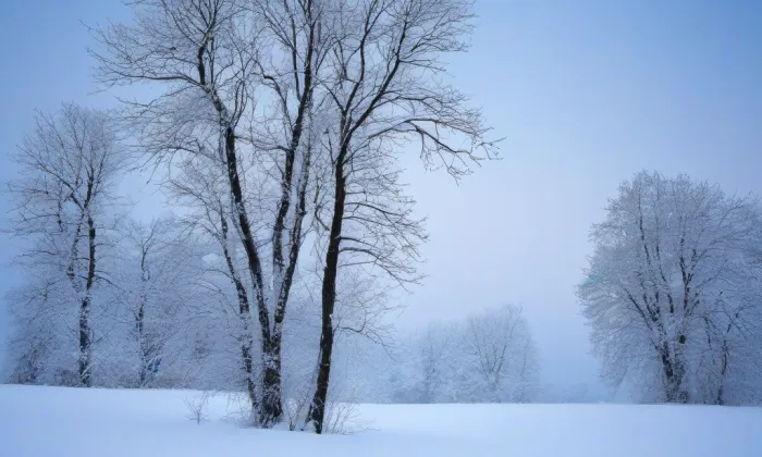 Kostel Nanebevzetí Panny Marie (Diváky) – winter