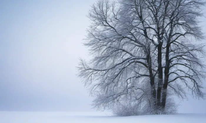 kostel Nanebevzetí Panny Marie (Dobrá Voda) – winter