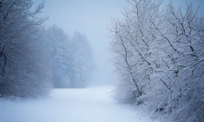 kostel Nanebevzetí Panny Marie (Hroby) – winter