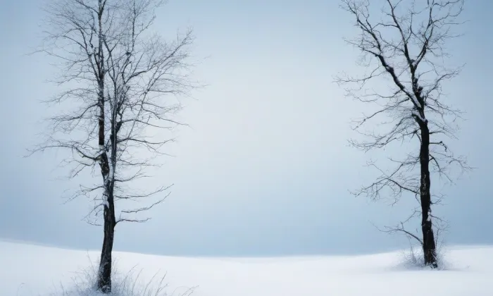 Kostel Nanebevzetí Panny Marie (Libčany) – winter