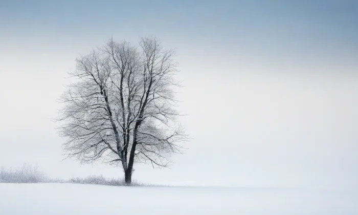 Kostel Nanebevzetí Panny Marie (Loučeň) – winter