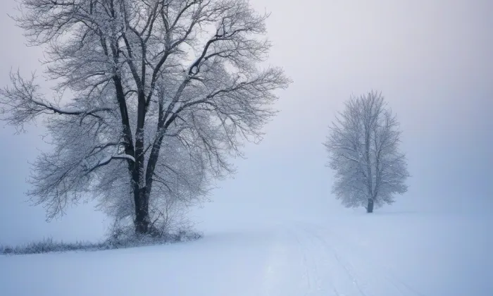 Kostel Nanebevzetí Panny Marie (Mašťov) – winter
