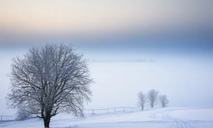 kostel Nanebevzetí Panny Marie (Milíčovice) – winter
