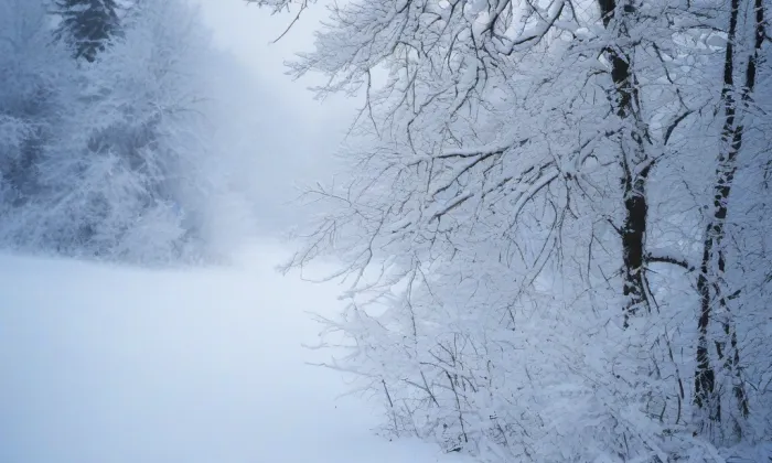 Kostel Nanebevzetí Panny Marie (Modřany) – winter