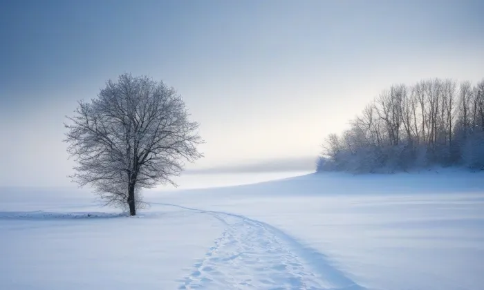 Kostel Nanebevzetí Panny Marie (Moravský Beroun) – winter