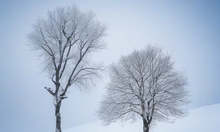 Kostel Nanebevzetí Panny Marie (Netín) – winter