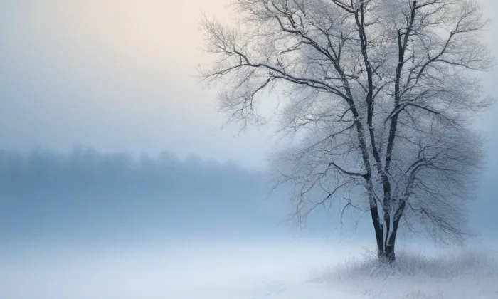 Kostel Nanebevzetí Panny Marie (Neustupov) – winter