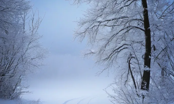 Kostel Nanebevzetí Panny Marie (Planá) – winter