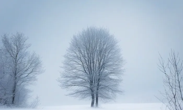 Kostel Nanebevzetí Panny Marie (Raspenava) – winter