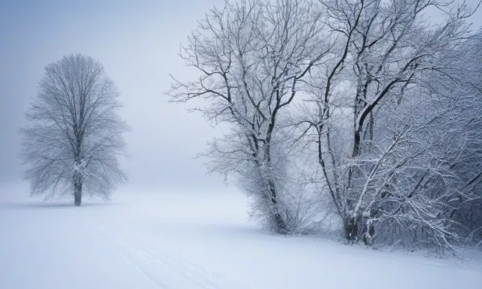 Kostel Nanebevzetí Panny Marie (Slatiny) – winter