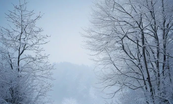 Kostel Nanebevzetí Panny Marie (Svatobor) – winter