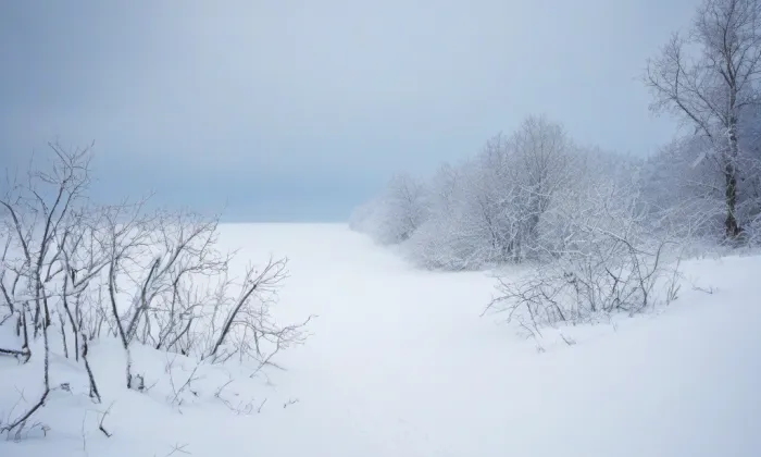 Kostel Nanebevzetí Panny Marie (Tachov) – winter
