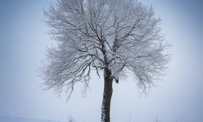 kostel Nanebevzetí Panny Marie (Vranov nad Dyjí) – winter