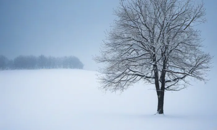 Kostel Nanebevzetí Panny Marie (Vrbno nad Lesy) – winter