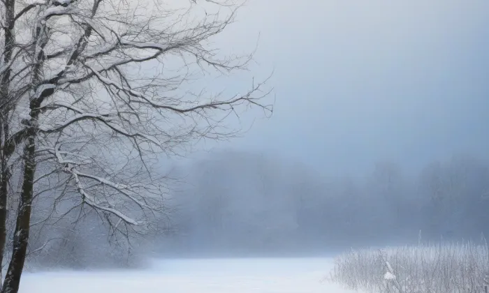 kostel Nanebevzetí Panny Marie v Jihlavě – winter