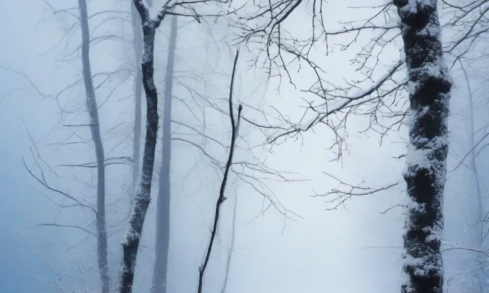 Kostel Nanebevzetí Panny Marie ve Staré Boleslavi – winter
