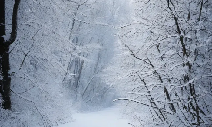 Kostel Nanebevzetí Panny Marie ve Zlonicích – winter