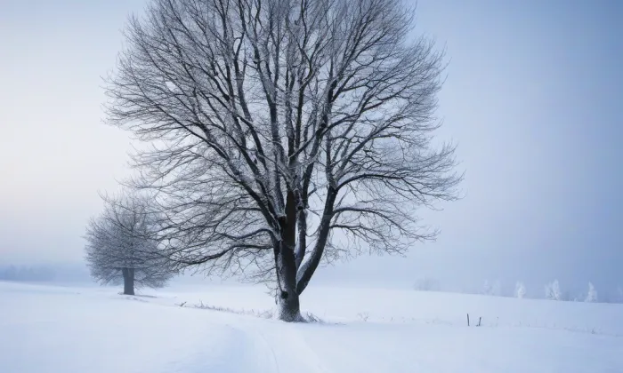 Kostel Narození Panny Marie (Úbislavice) – winter