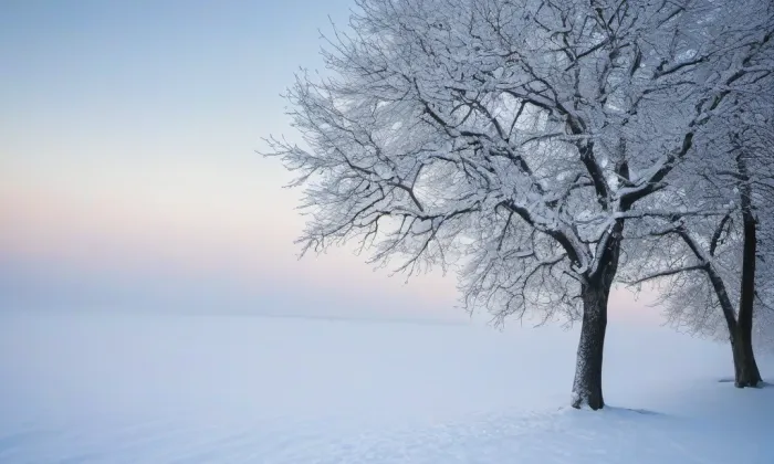 Kostel Narození Panny Marie (Buškovice) – winter