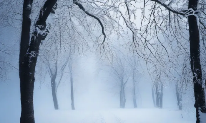 Kostel Narození Panny Marie (Loučim) – winter