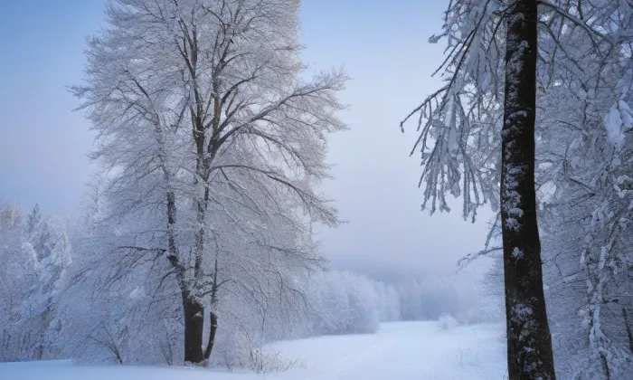 kostel Narození Panny Marie (Neslovice) – winter