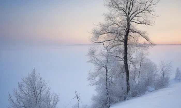 kostel Narození Panny Marie (Opatovec) – winter
