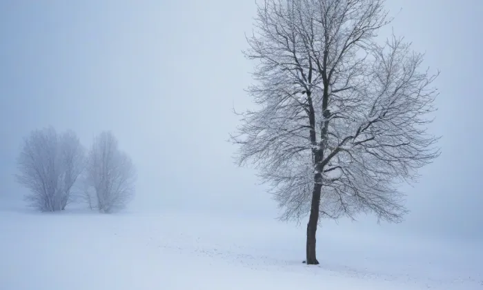 kostel Narození Panny Marie (Plánice) – winter