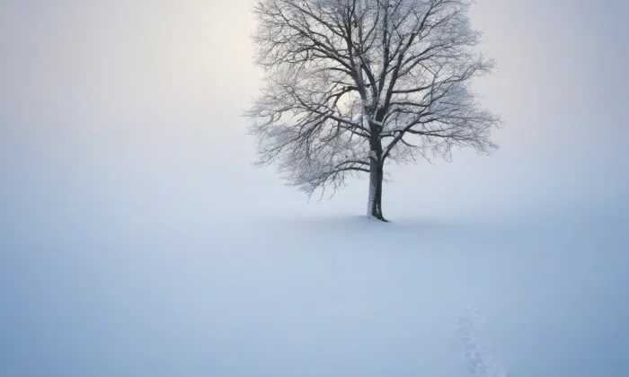kostel Narození Panny Marie (Pluhův Žďár) – winter