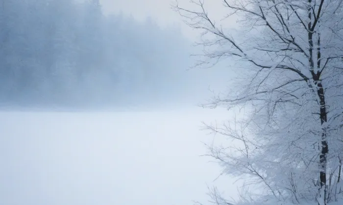 Kostel Narození Panny Marie (Pržno) – winter