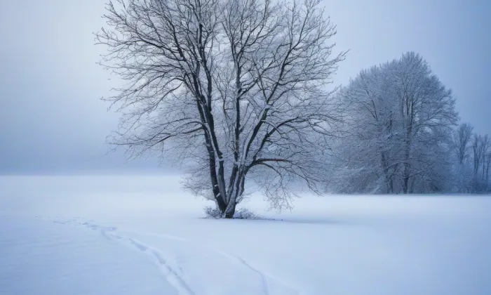 Kostel Narození Panny Marie (Ročov) – winter