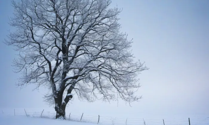 Kostel Narození Panny Marie (Toužim) – winter