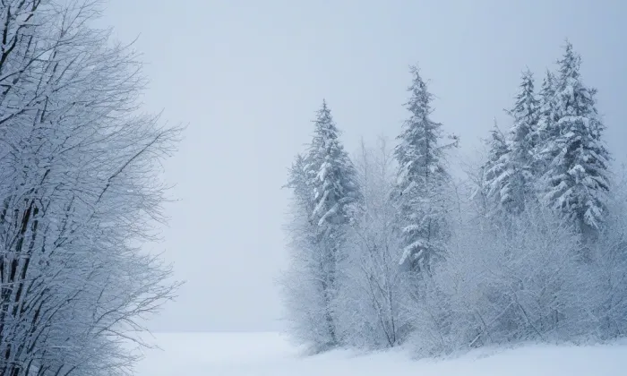 kostel Narození Panny Marie v Jimramově – winter