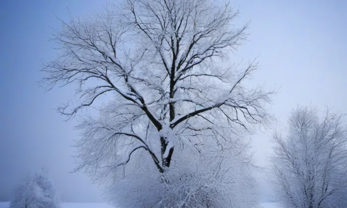 Kostel Narození Panny Marie ve Žlebích – winter