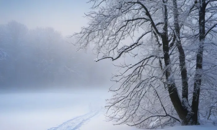 Kostel Narození svatého Jana Křtitele (Polubný) – winter