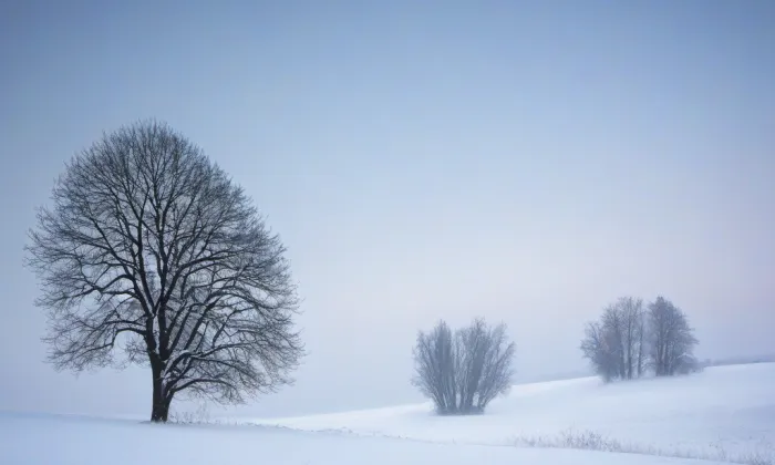 kostel Narození svatého Jana Křtitele (Český Rudolec) – winter
