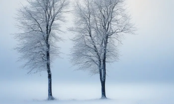 kostel Navštívení Panny Marie (Červený Potok) – winter