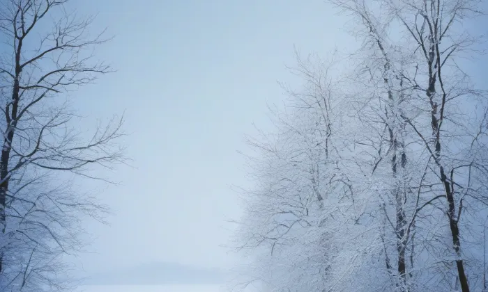 Kostel Navštívení Panny Marie (Lobendava) – winter