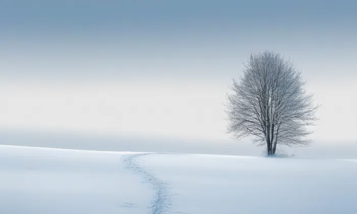 Kostel Navštívení Panny Marie (Město) – winter