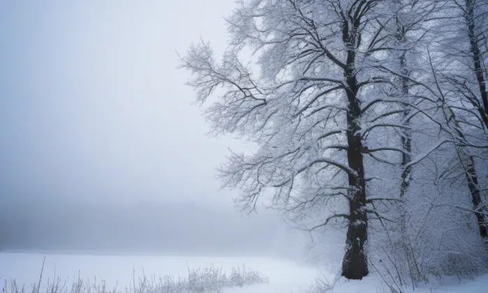Kostel Navštívení Panny Marie (Obyčtov) – winter