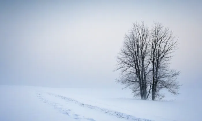 Kostel Navštívení Panny Marie (Rýmařov) – winter