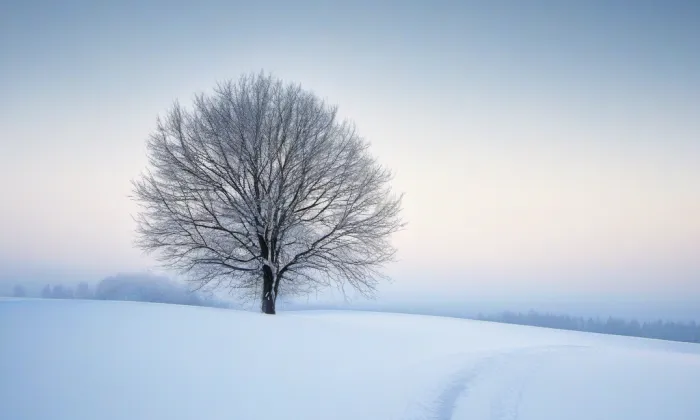 Kostel Navštívení Panny Marie (Rudné) – winter