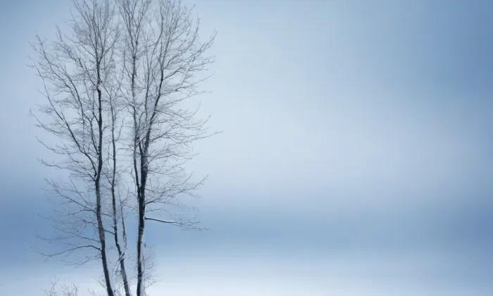 kostel Navštívení Panny Marie (Soběšovice) – winter