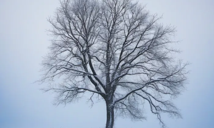 Kostel Navštívení Panny Marie (Velké Poříčí) – winter