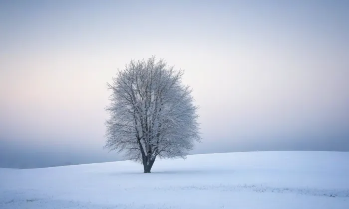 Kostel Nejsvětější Trojice (Andělská Hora) – winter