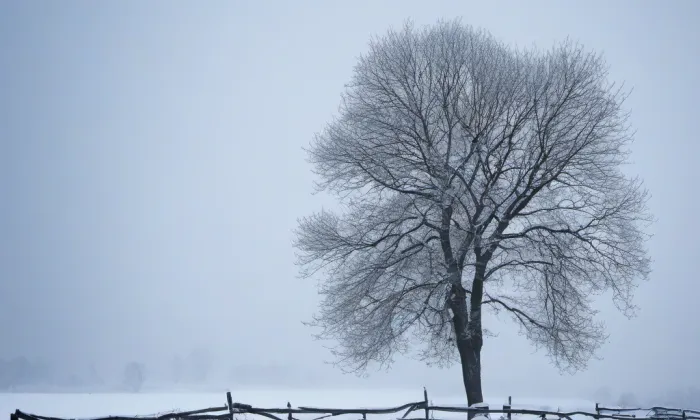 kostel Nejsvětější Trojice (Bohuslavice) – winter