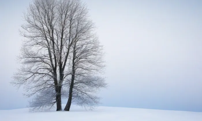 Kostel Nejsvětější Trojice (Bzí) – winter